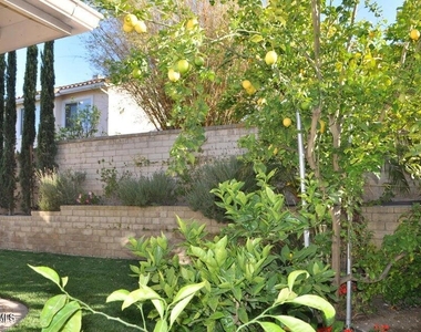 1596 Blue Canyon Street - Photo Thumbnail 49