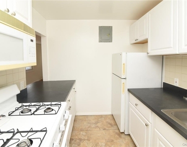 101 Carpenter Avenue - Photo Thumbnail 10