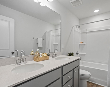 329 Providence Springs Lane - Photo Thumbnail 42