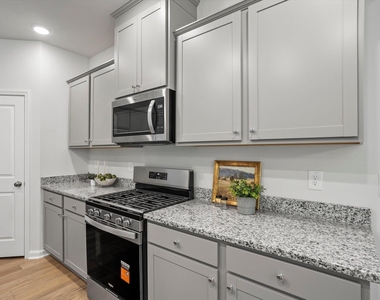 329 Providence Springs Lane - Photo Thumbnail 22
