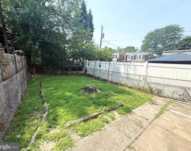 242 Pusey Avenue - Photo Thumbnail 28