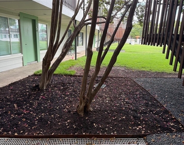 2200 Dickson Dr - Photo Thumbnail 9