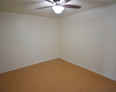 3319 Dolphin Dr - Photo Thumbnail 12