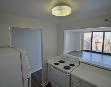 3660 N Lake Shore Drive - Photo Thumbnail 10