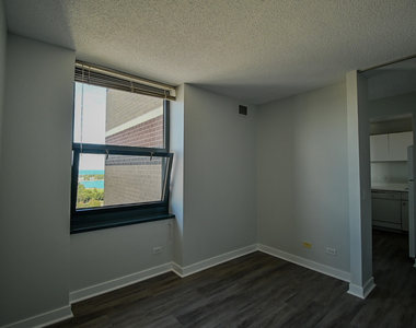 3660 N Lake Shore Drive - Photo Thumbnail 12