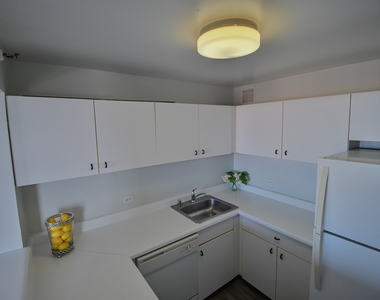 3660 N Lake Shore Drive - Photo Thumbnail 11