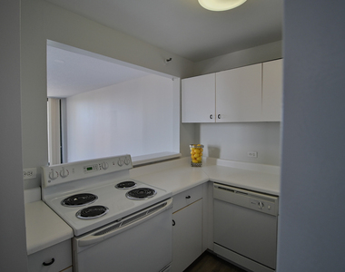 3660 N Lake Shore Drive - Photo Thumbnail 15