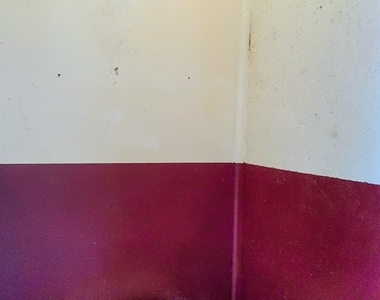 21 E Romeo Road - Photo Thumbnail 40