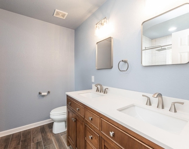 21615 Britton Hill Way - Photo Thumbnail 21
