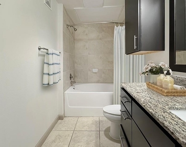 2700 Brazos Street - Photo Thumbnail 3