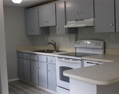 1405 W De Leon Street - Photo Thumbnail 17