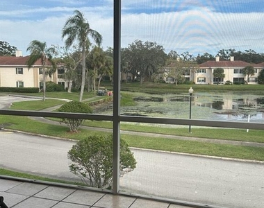 10325 Carrollwood Lane - Photo Thumbnail 8