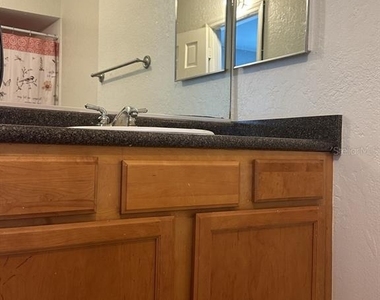 10325 Carrollwood Lane - Photo Thumbnail 11