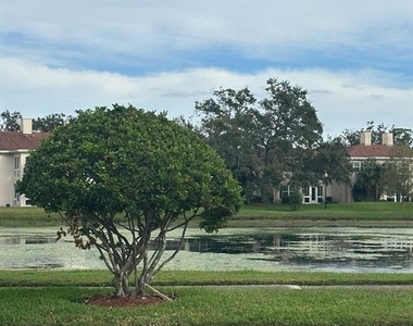 10325 Carrollwood Lane - Photo Thumbnail 15