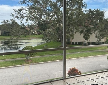 10325 Carrollwood Lane - Photo Thumbnail 9