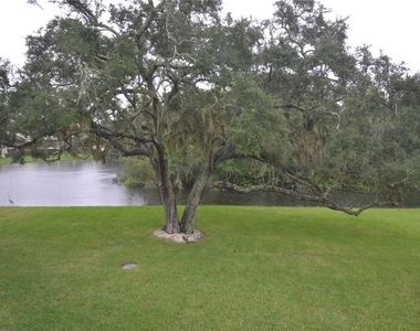 278 Cypress Lane - Photo Thumbnail 19