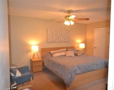 278 Cypress Lane - Photo Thumbnail 21