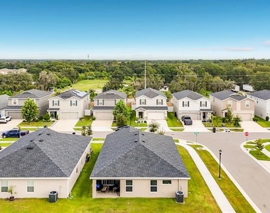 11759 Pink Plumeria Court - Photo Thumbnail 47