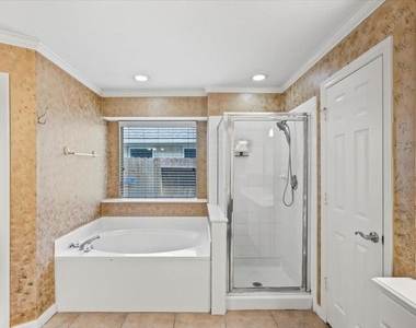 6203 Dove Fern Court - Photo Thumbnail 21