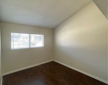 1592 Avenida Selva - Photo Thumbnail 35