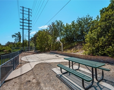 5463 Lupine - Photo Thumbnail 23