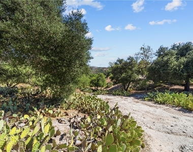 18 Calotte - Photo Thumbnail 42