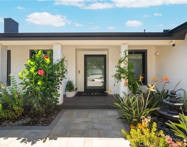 29161 Aloma - Photo Thumbnail 2