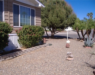 30678 Butia Palm - Photo Thumbnail 4