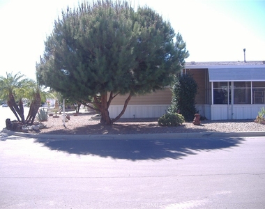 30678 Butia Palm - Photo Thumbnail 3