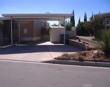 30678 Butia Palm - Photo Thumbnail 1