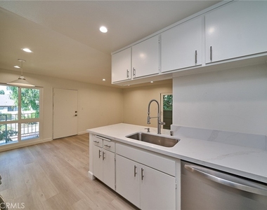 838 Coriander - Photo Thumbnail 7