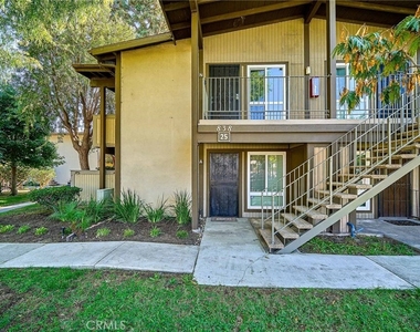 838 Coriander - Photo Thumbnail 20