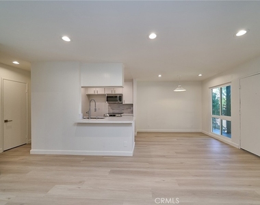 838 Coriander - Photo Thumbnail 8