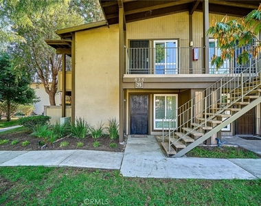 838 Coriander - Photo Thumbnail 1