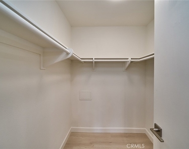 838 Coriander - Photo Thumbnail 13