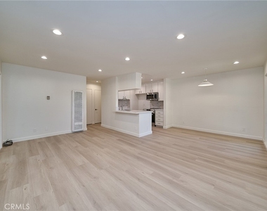 838 Coriander - Photo Thumbnail 2