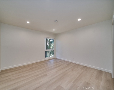 838 Coriander - Photo Thumbnail 12