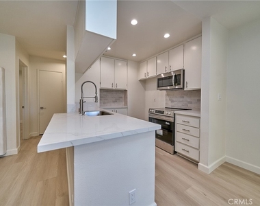 838 Coriander - Photo Thumbnail 6