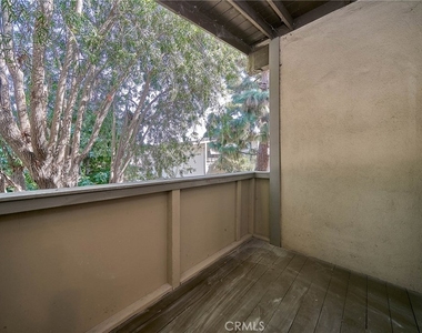 838 Coriander - Photo Thumbnail 18