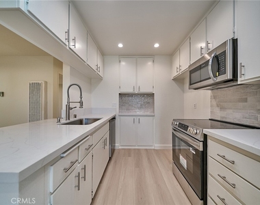 838 Coriander - Photo Thumbnail 5