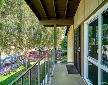 838 Coriander - Photo Thumbnail 19
