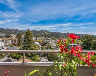 2550 Dana St - Photo Thumbnail 4