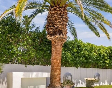 520 W Via Lola - Photo Thumbnail 19