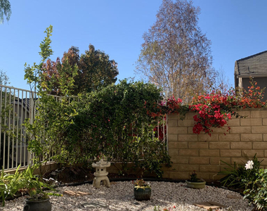2546 Renata Court - Photo Thumbnail 23