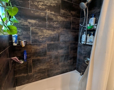 20 Sylvester Place - Photo Thumbnail 8