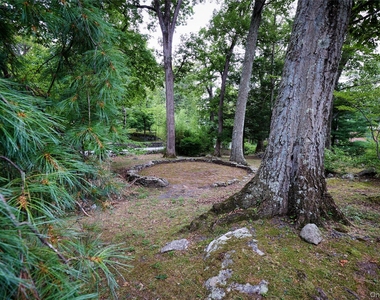 93 Circuit Road - Photo Thumbnail 33