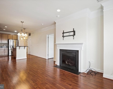 1451 Belmont Street Nw - Photo Thumbnail 13
