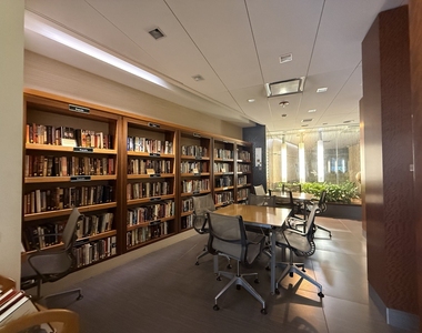 400 E Randolph Street - Photo Thumbnail 45