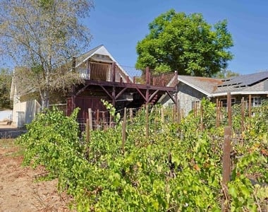 13101 Sudan Road - Photo Thumbnail 28