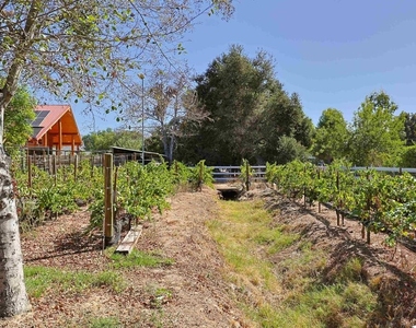 13101 Sudan Road - Photo Thumbnail 27